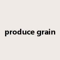 produce grain是什么意思
