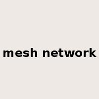 mesh network是什么意思