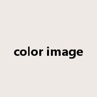color image是什么意思