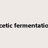 acetic fermentation是什么意思
