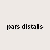 pars distalis是什么意思