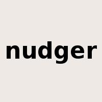 nudger是什么意思