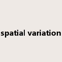 spatial variation是什么意思