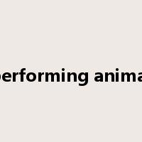 performing animal是什么意思