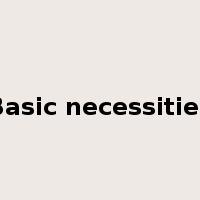 Basic necessities是什么意思