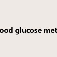 blood glucose meter是什么意思