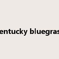 kentucky bluegrass是什么意思