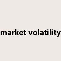 market volatility是什么意思