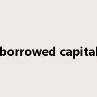 borrowed capital是什么意思