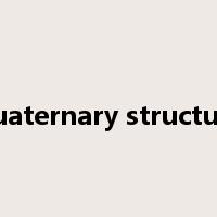 quaternary structure是什么意思
