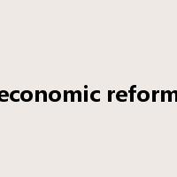 economic reform是什么意思