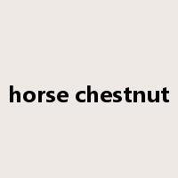 horse chestnut是什么意思
