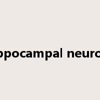 hippocampal neurons是什么意思