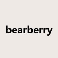 bearberry是什么意思