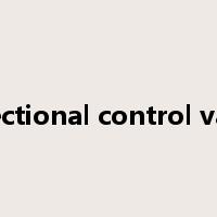 directional control valve是什么意思