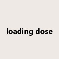loading dose是什么意思