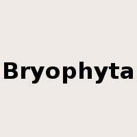 Bryophyta是什么意思