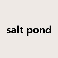 salt pond是什么意思