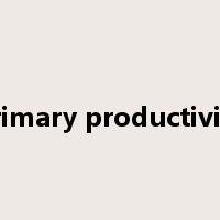 primary productivity是什么意思