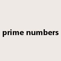 prime numbers是什么意思