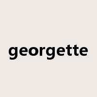 georgette是什么意思