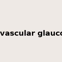 neovascular glaucoma是什么意思