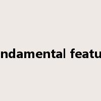 fundamental feature是什么意思