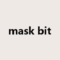 mask bit是什么意思