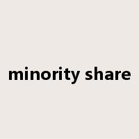 minority share是什么意思