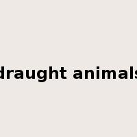 draught animals是什么意思