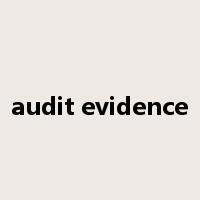 audit evidence是什么意思