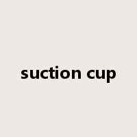 suction cup是什么意思