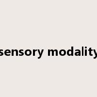 sensory modality是什么意思