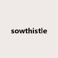 sowthistle是什么意思