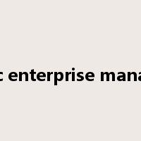 Strategic enterprise management是什么意思