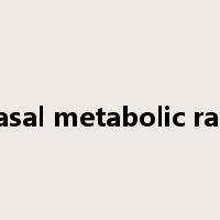 basal metabolic rate是什么意思