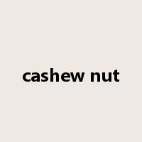 cashew nut是什么意思