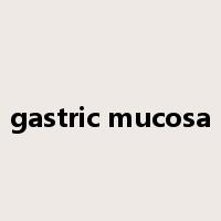 gastric mucosa是什么意思