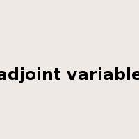 adjoint variable是什么意思