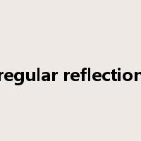 regular reflection是什么意思