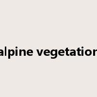 alpine vegetation是什么意思