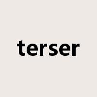 terser是什么意思