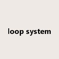 loop system是什么意思