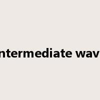 intermediate wave是什么意思