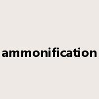 ammonification是什么意思