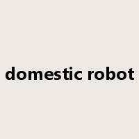 domestic robot是什么意思