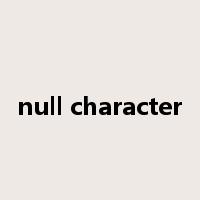 null character是什么意思