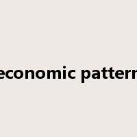economic pattern是什么意思