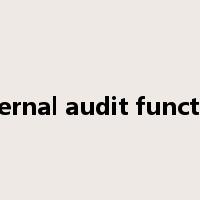 Internal audit function是什么意思