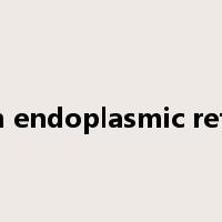 smooth endoplasmic reticulum是什么意思
